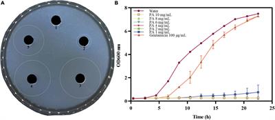 Antibacterial and antibiofilm activities of protocatechualdehyde and its synergy with ampicillin against methicillin-resistant Staphylococcus aureus